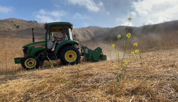 Crews are working to make the Santa Monica Mountains less flammable

