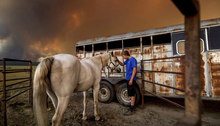 Dixie fire burns homes and businesses in Greenville

