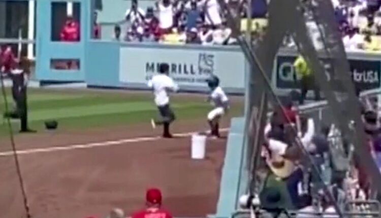 Dodgers Ball Girl turns a fan on the field - NBC Los Angeles

