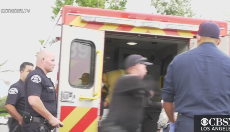 LAPD official suspended after slapping reluctant suspects in the face - CBS Los Angeles


