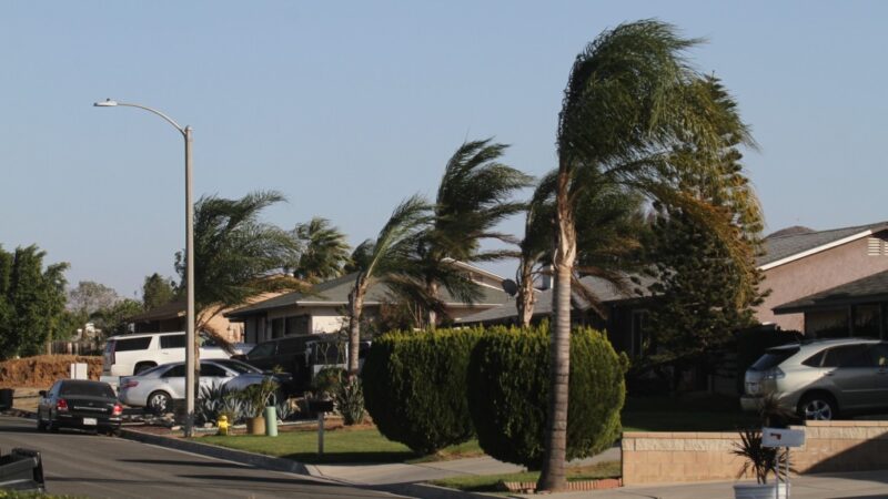 Los angeles an area of multiple hazards essay 05 image