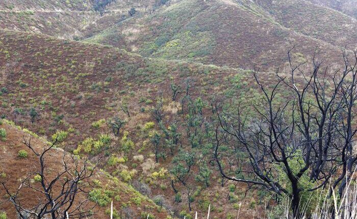   Recreation and Recovery in the Santa Monica Mountains |  news

