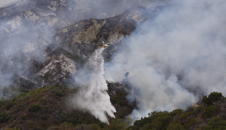 California forest fires burn thousands of giant sequoia trees

