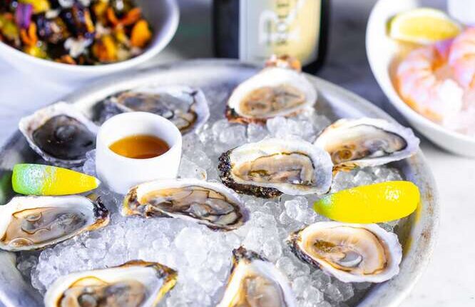 Best Oysters in LA: Find Oyster Happy Hour Deals in Los Angeles

