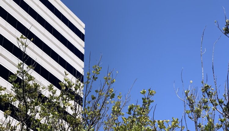 Building renovation in today's market environment

