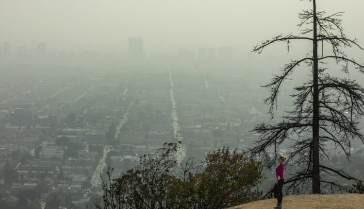That brown, hazy air is bad for your children

