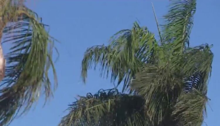 Strong winds return to LA area on Thursday - CBS Los Angeles

