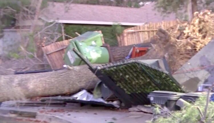 Wind knocks down trees in Sylmar - NBC Los Angeles

