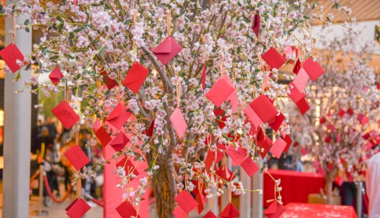 Add Your Wish to a Cherry Blossom Tree in Santa Monica – NBC Los Angeles
