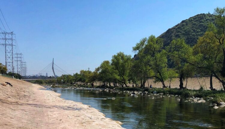 Nature sustained the LA River before humans intervened
