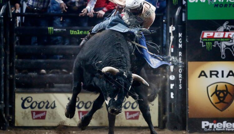  Last Roundup?  Rodeo Coming to LA Amid Possible Ban – NBC Los Angeles
