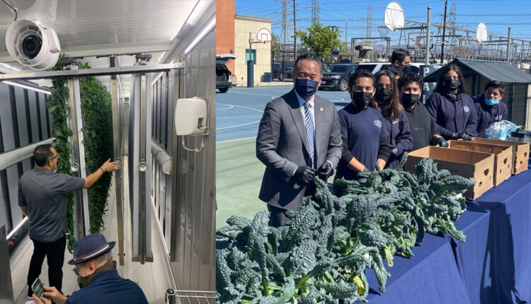 Kale Grown In Shipping Container Farm Harvested By LAPD PALS Youth In Northridge - CBS Los Angeles
