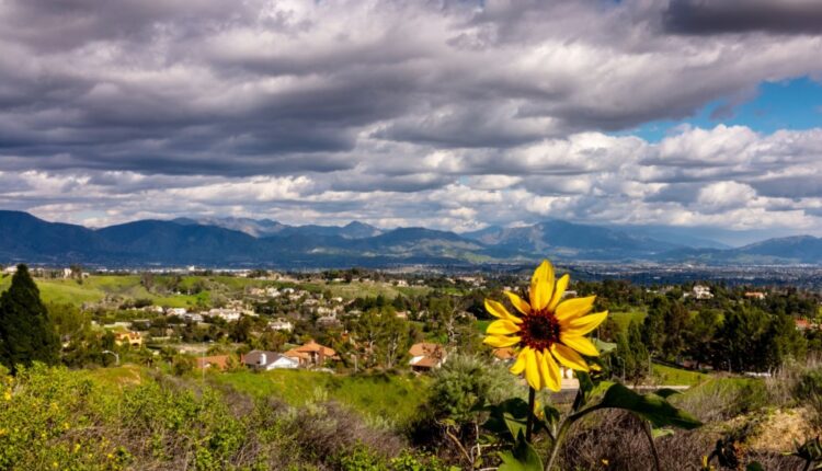 Green Building Council to help 20 San Fernando Valley sites reduce energy, water use - Daily News
