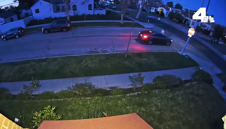 Man Shot Dead While Walking Dog in Mid-City Area of ​​Los Angeles - NBC Los Angeles
