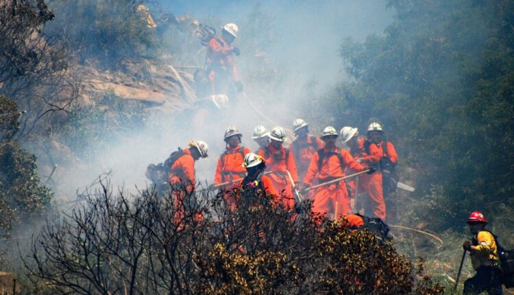 Brush fire burns 3 acres near 118 Freeway in Chatsworth area - Daily News
