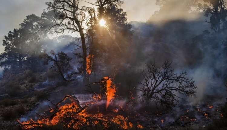 The harm reduction phase of curbing climate change

