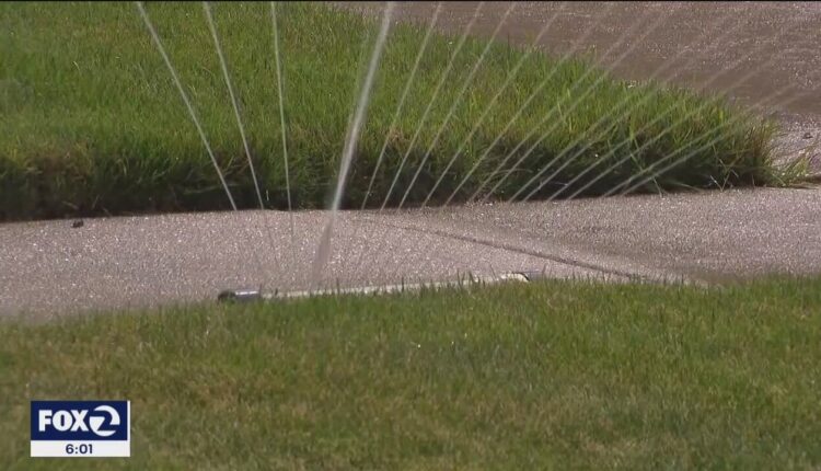Mountain View orders water cutbacks but even tougher drought measures elsewhere in California
