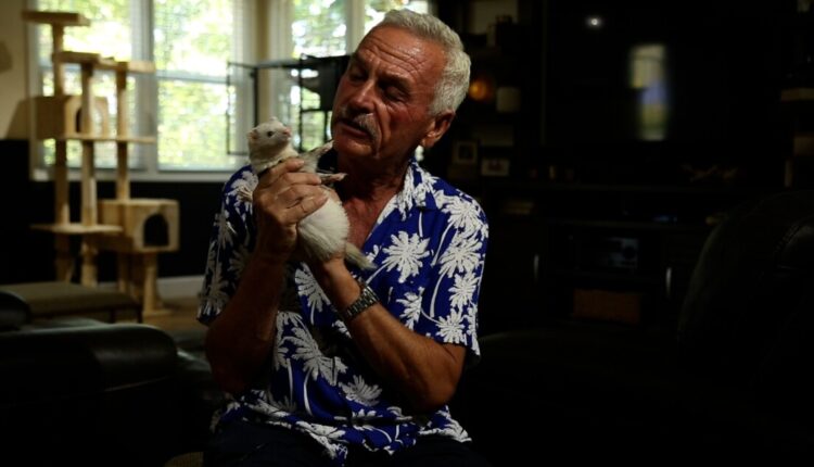 Ferrets are adorable, but they shouldn't be pets
