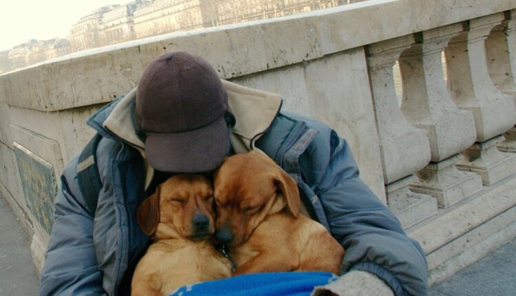  Many Unhoused People Would Choose Their Pet Over a Shelter.  Can Shelters Change?  – LX
