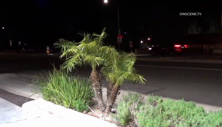 Santa Ana winds expected sweep through LA, Ventura mountains with near-freezing temps
